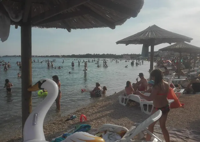 Bunaric Apartamento Vir